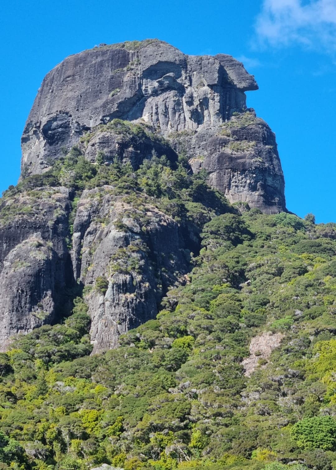 The Duke's Nose (Kaiaraara Rocks) — photo 2 of 3