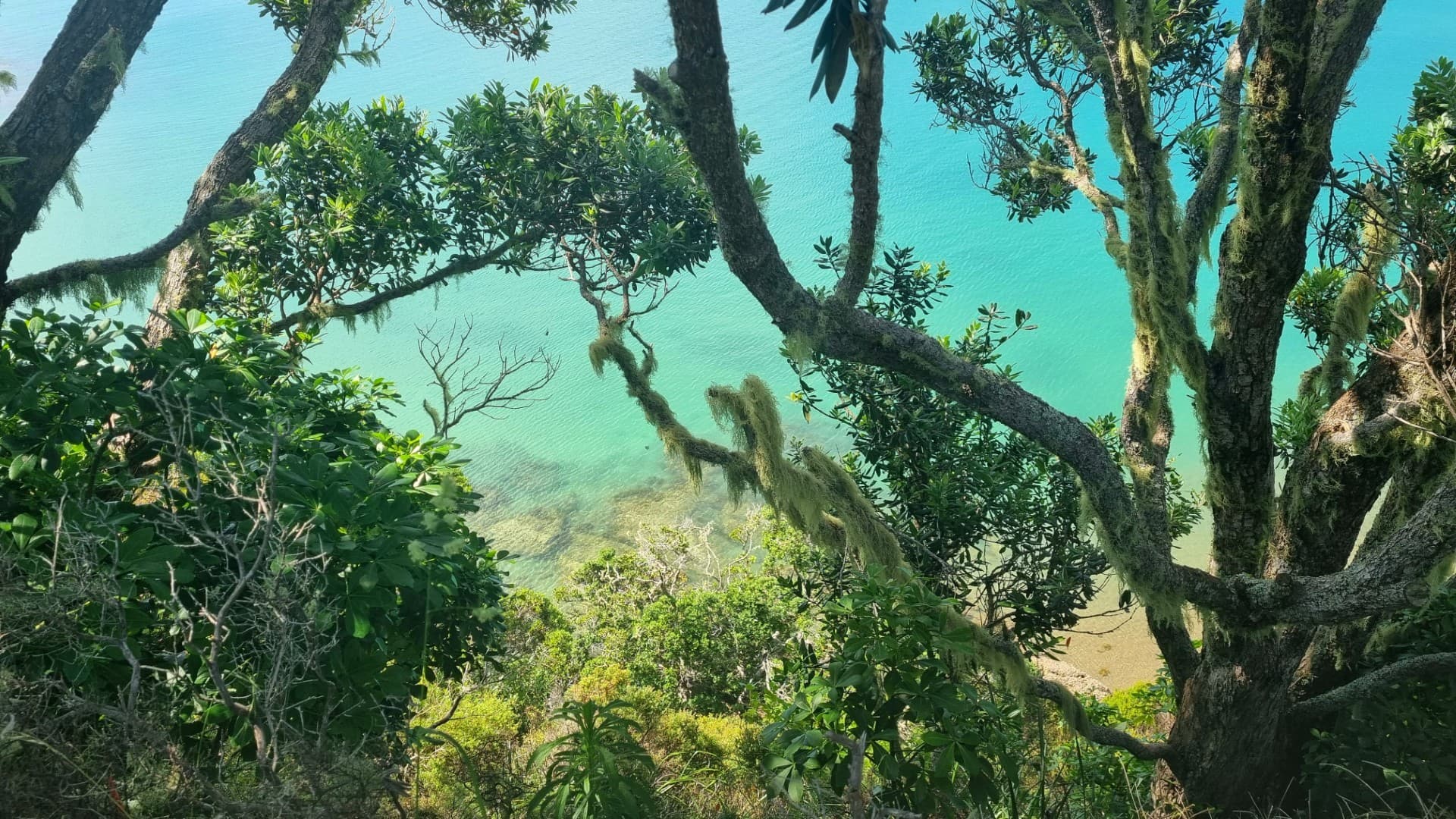 Mahinepua Peninsula Walk — photo 2 of 7