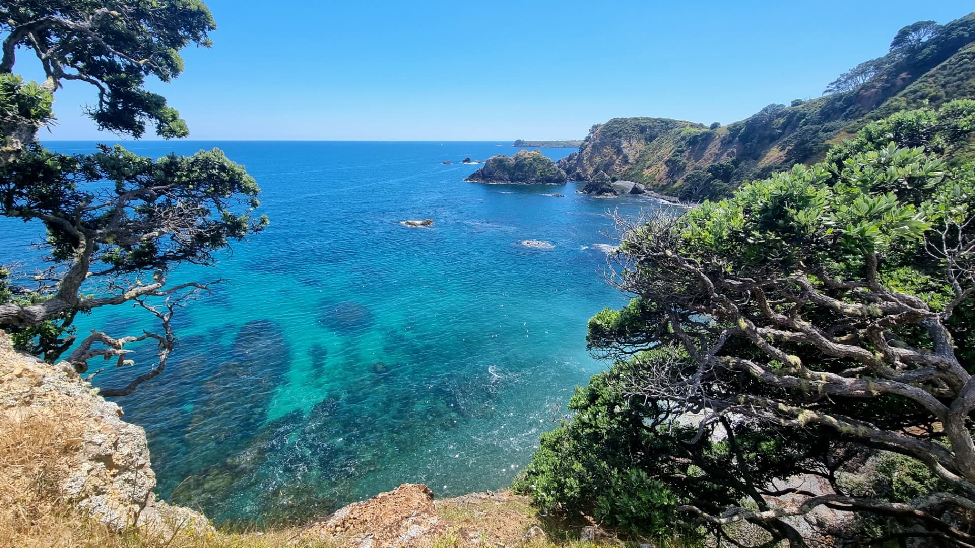 Mahinepua Peninsula Walk — photo 4 of 7