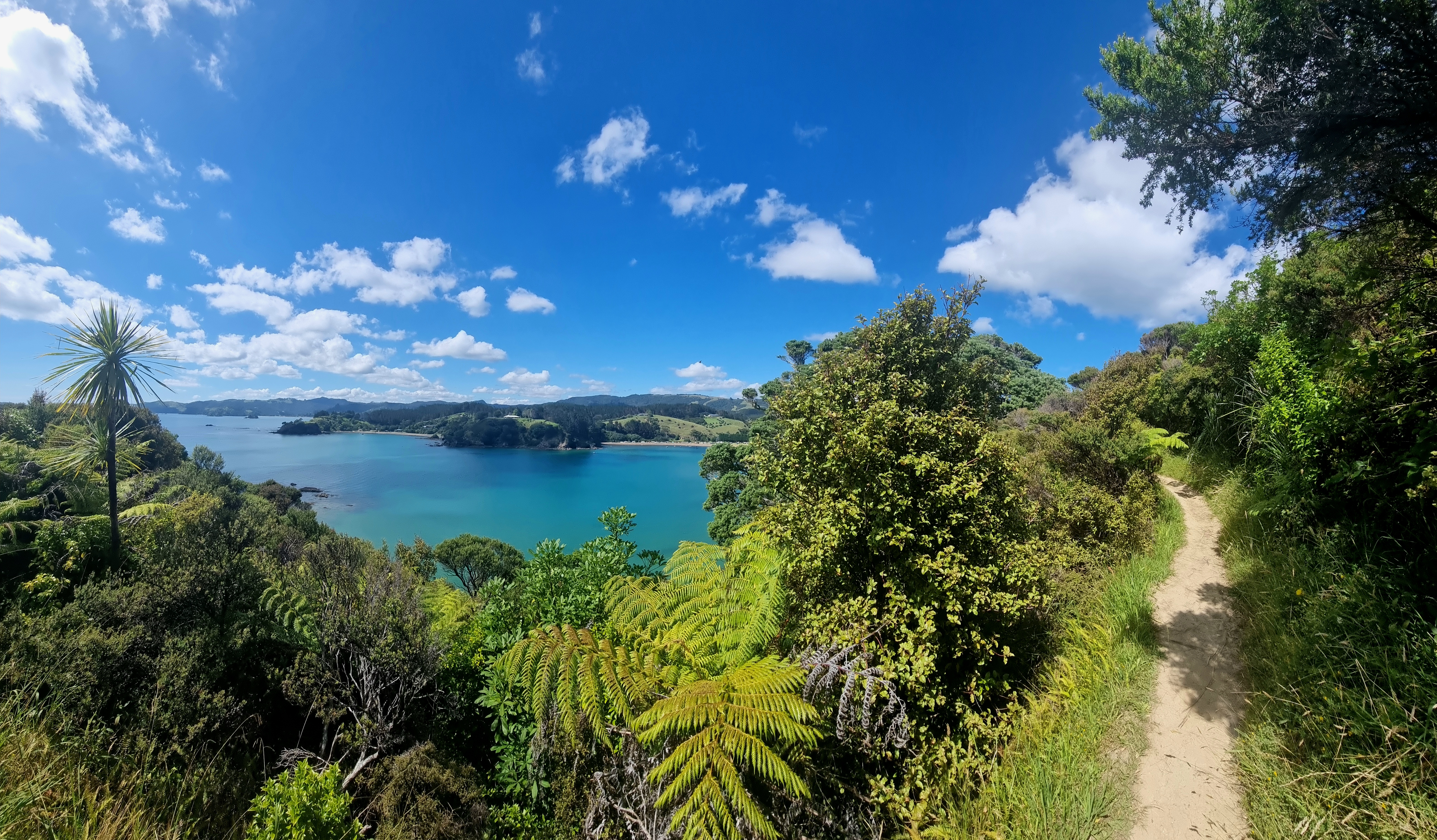 Mahinepua Peninsula Walk — photo 7 of 7