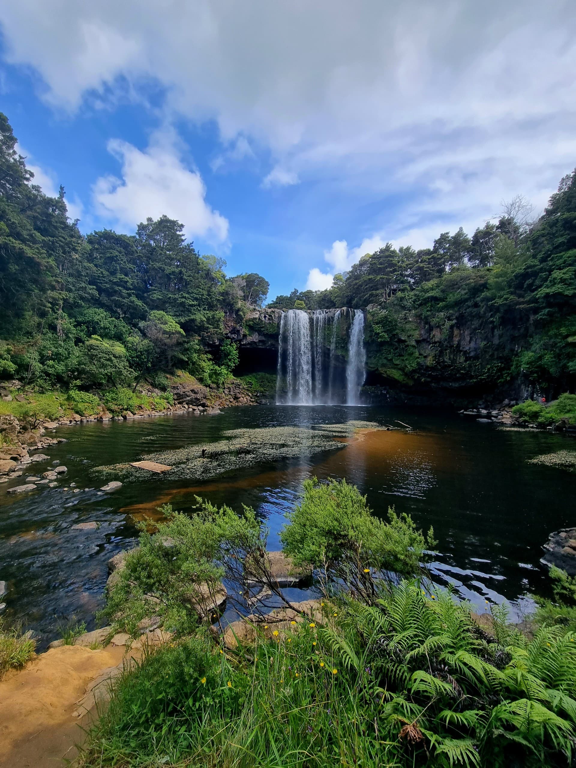 Rainbow Falls (Waianiwaniwa) — photo 1 of 2