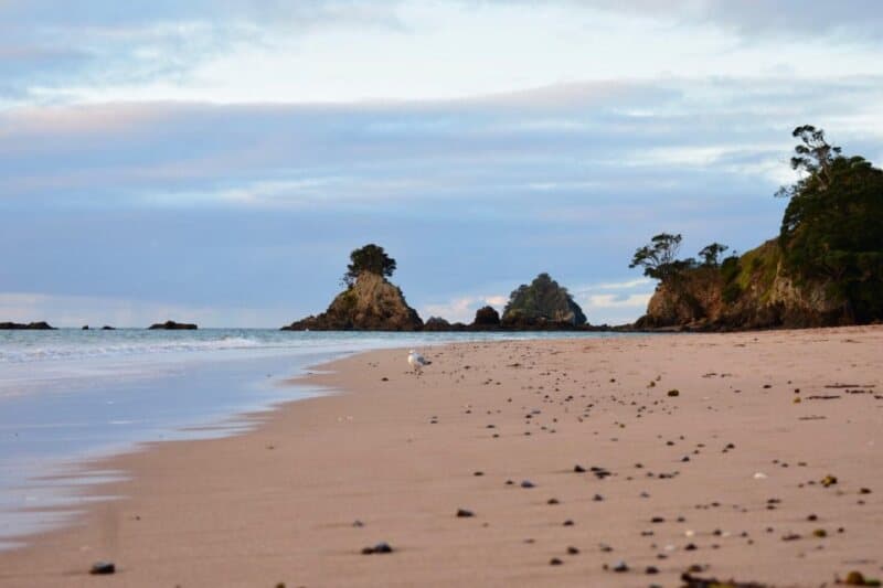 Tauranga Bay — photo 5 of 8
