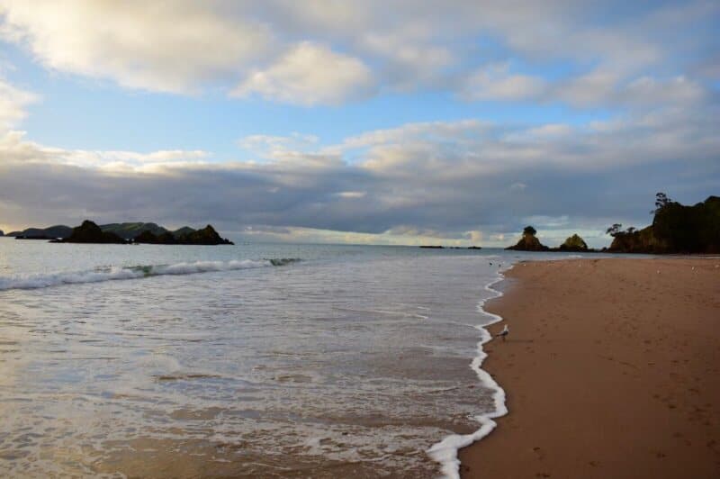 Tauranga Bay — photo 8 of 8